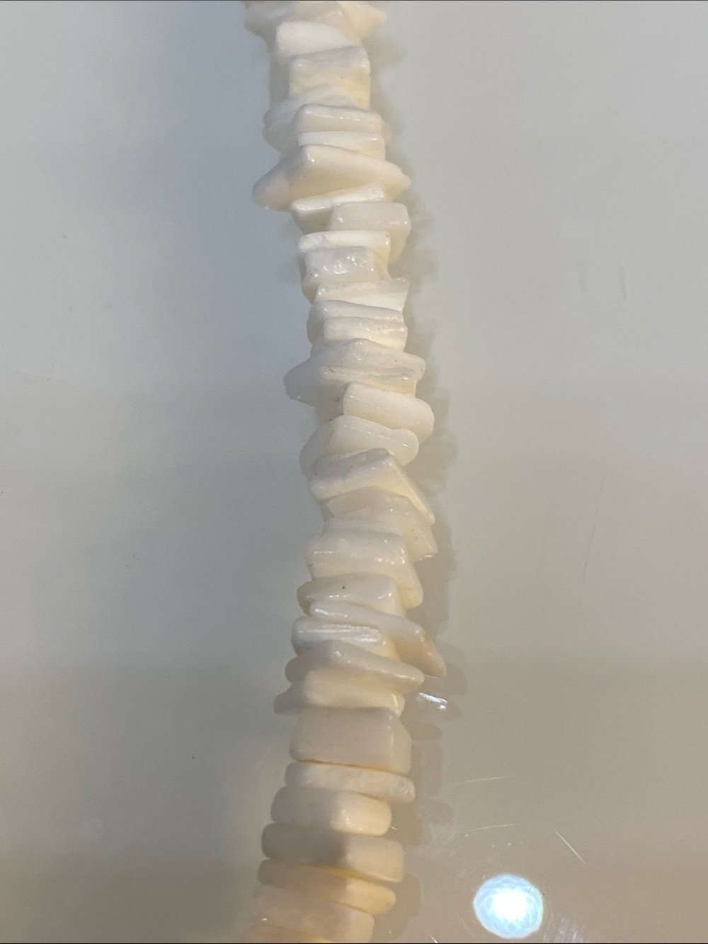 Shell necklace - Picture 2 of 4